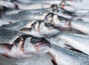 Россельхознадзором получен официальный допуск на экспорт рыбной продукции из России в Южно-Африканскую Республику