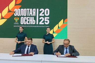 Золотая осень — 2025: Волгоградская область расширяет сотрудничество