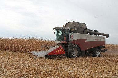 Уборка кукурузы на зерно набирает обороты в Липецкой области
