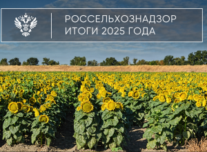 Предварительные итоги деятельности Управления Россельхознадзора по Республике Мордовия и Пензенской области за 2025 год