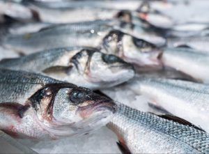 Россельхознадзор расширил список российских поставщиков рыбопродукции в Китай