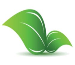 Ввоз подкарантинной продукции с нарушениями пресечен Управлением Россельхознадзора по Новосибирской области Ввоз подкарантинной продукции с нарушениями пресечен Управлением Россельхознадзора по Новосибирской области