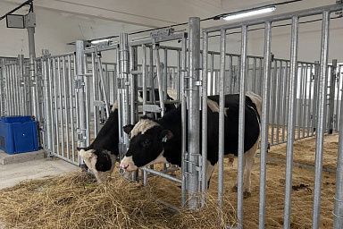 «Ивановоплем» запускает проект по производству высококачественных генетических ресурсов для молочных ферм