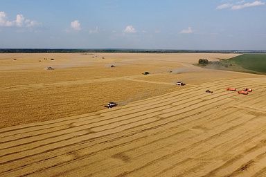 Более 7 тыс. гектаров орошаемых земель введено в эксплуатацию в 2025 году в Кабардино-Балкарии