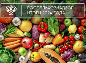 Итоги 2024: Импорт и экспорт растительной продукции, международное сотрудничество в области карантина растений и семеноводства