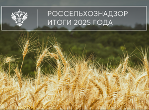 Итоги деятельности Кавказского межрегионального управления Россельхознадзора за 2025 год