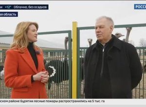 Видео: Интервью Сергея Данкверта о новых видах растений, разведении альпак и борьбе с борщевиком