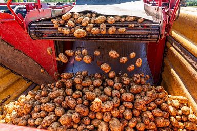 В Московской области подвели итоги уборочной кампании 2025 года