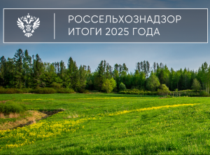 Итоги 2025: Земельный надзор, ликвидация свалок, вовлечение неиспользуемых участков в оборот