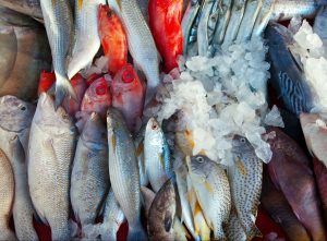 Россельхознадзор расширил список российских поставщиков рыбопродукции в Республику Корея