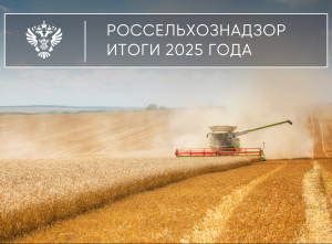 Предварительные итоги деятельности Управления Россельхознадзора по Красноярскому краю за 2025 год