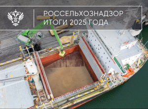 Итоги 2025: Экспорт зерна, борьба с недостоверным декларированием, итоги КНД, совершенствование нормативно-правового регулирования