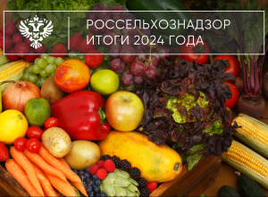 Итоги 2024: Работа Россельхознадзора по стандартизации в области карантина растений, земельных отношений, качества и безопасности зерна, обращения с пестицидами и агрохимикатами