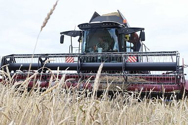 В хозяйствах Ивановской области продолжается уборочная кампания