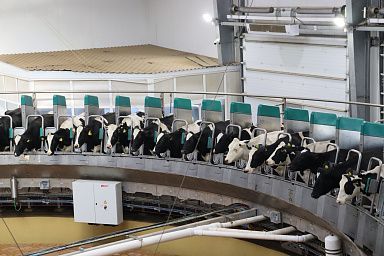 Сельхозтоваропроизводителям Красноярского края возместят затраты на обновление машинно-тракторного парка и оборудования