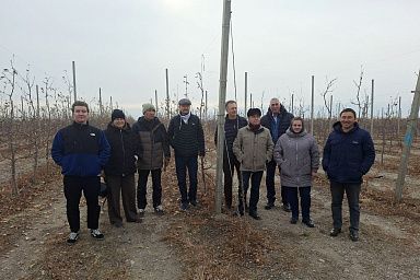 Томские аграрии и киргизские коллеги договорились о взаимовыгодном сотрудничестве