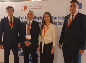 Подведомственное Россельхознадзору ФГБУ «ВНИИЗЖ» приняло участие в региональном семинаре ВОЗЖ по внедрению концепции «Единое здоровье» в ветслужбах Европейского региона