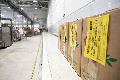 В Подмосковье за полгода экспорт продукции агропрома увеличился на 18% в стоимостном выражении