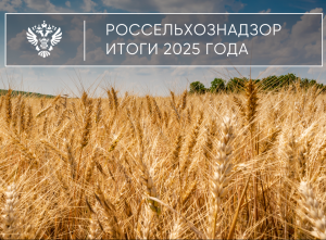 Предварительные итоги деятельности Управления Россельхознадзора по Республике Дагестан за 2025 год