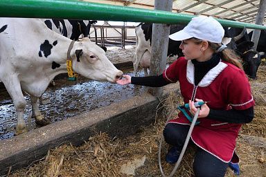 С 2026 года размер единовременной выплаты молодым специалистам при трудоустройстве на предприятия АПК Ивановской области составит 150 тыс. рублей