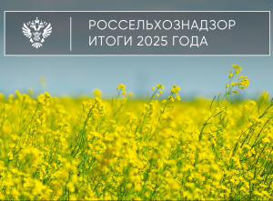 Предварительные итоги деятельности Управления Россельхознадзора по Саратовской и Самарской областям за 2025 год
