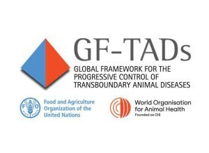 Подведомственное Россельхознадзору ФГБУ «ВНИИЗЖ» приняло участие в региональном совещании по борьбе с ящуром и чумой мелких жвачных животных под эгидой GF-TADs в Таджикистане