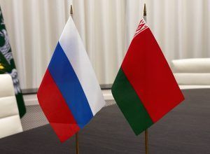 В Смоленской области предотвращен нелегальный ввоз из Белоруссии лосося под видом мяса птицы