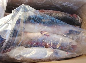 Россельхознадзор считает необходимым разъяснить ситуацию в связи с заявлением в прессе о якобы чрезмерных проверках и необоснованных препятствиях при поставках рыбы из Киргизии в Россию