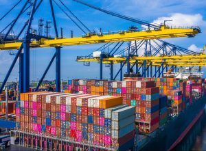 За I полугодие 2025 года Россельхознадзор зафиксировал рост объемов экспорта мясной продукции, корнеплодов и овощей