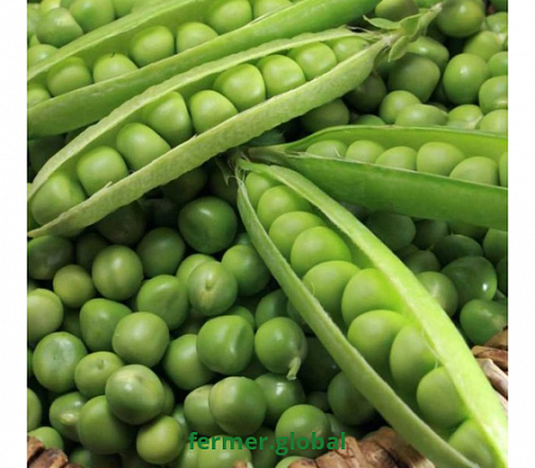 Горох овощной ХЕЗБАНА